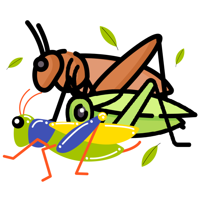 Crickets artwork